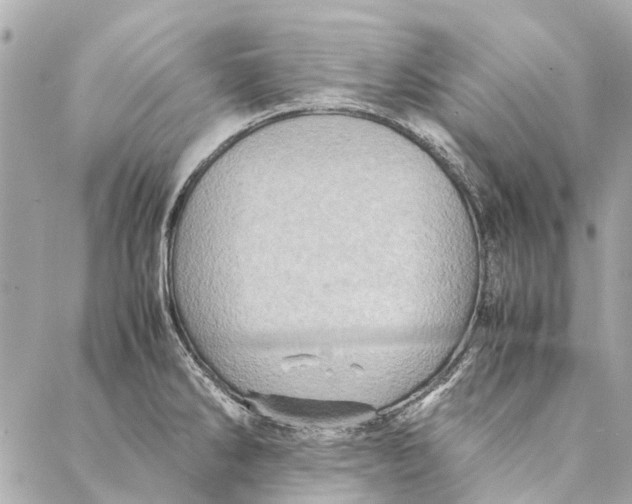 X0000086941286200705071409