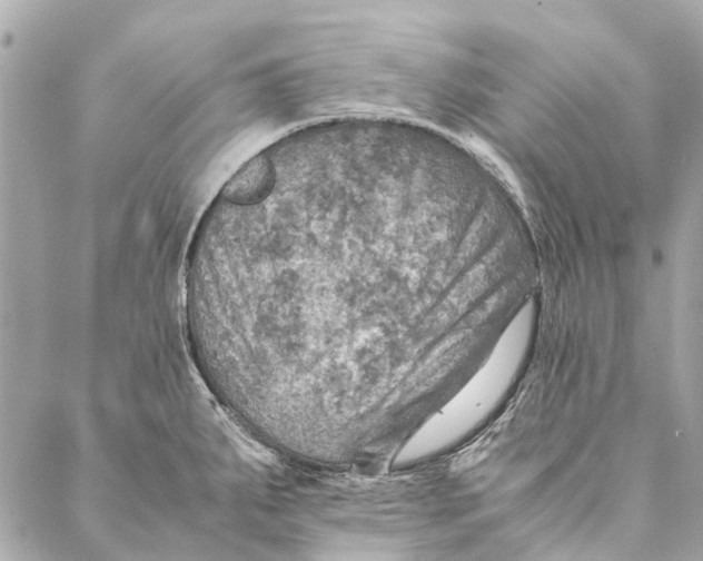 X0000086941287200705071409