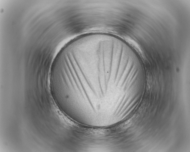 X0000086941288200705071409