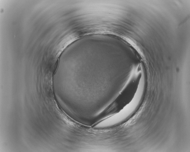 X0000086941289200705071409