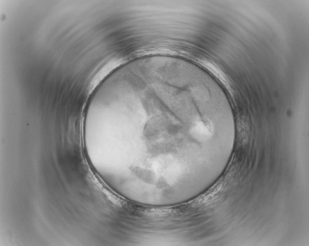 X0000086941290200705071409