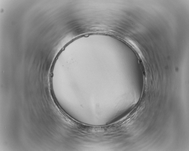 X0000086941291200705071409