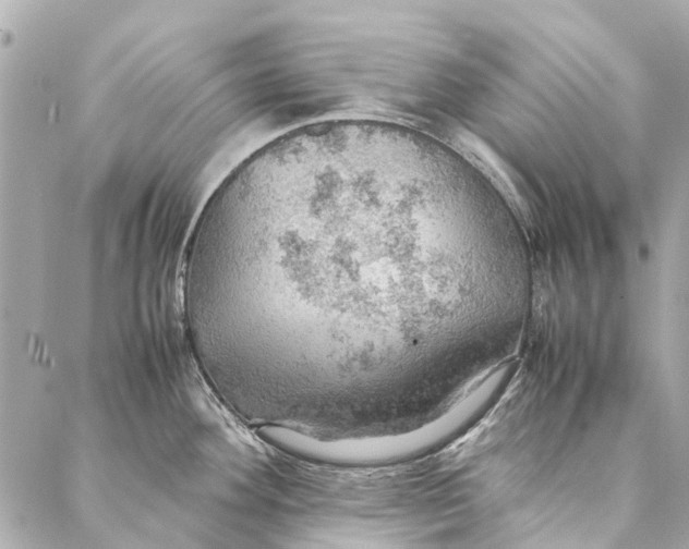 X0000086941292200705071409