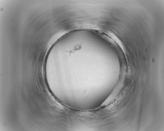 X0000086941293200705071409