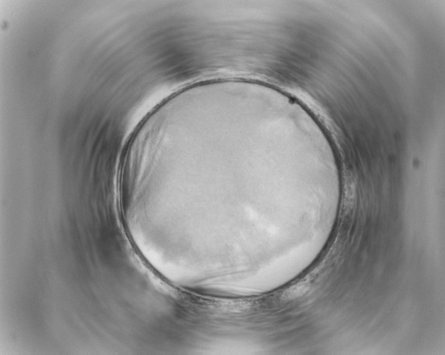 X0000086941294200705071409