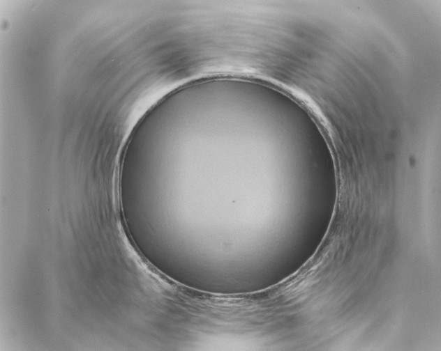 X0000086941295200705071409