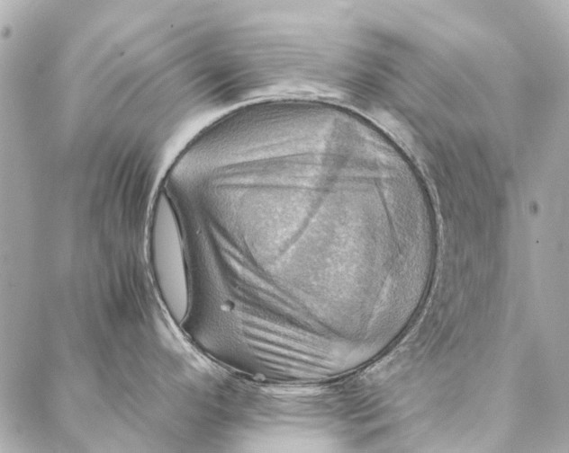 X0000086941296200705071408