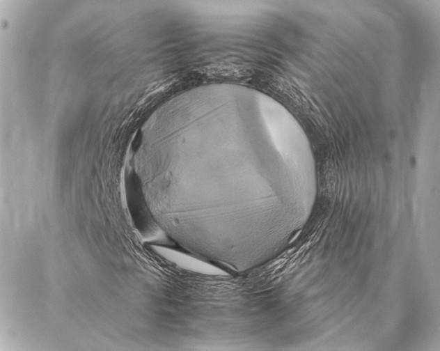 X0000086941297200705071408