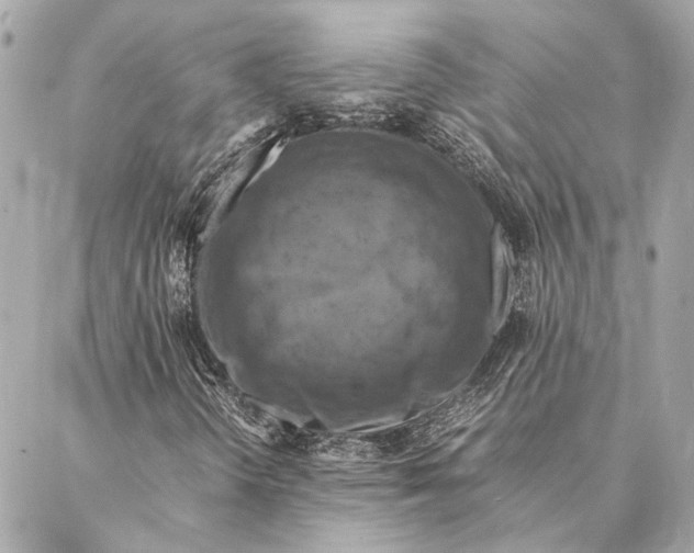 X0000086941298200705071408