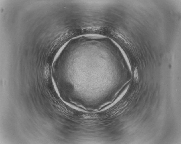 X0000086941299200705071408