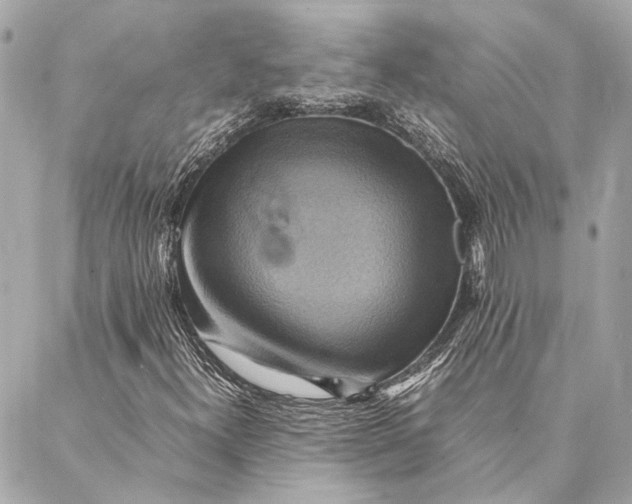 X0000086941300200705071408