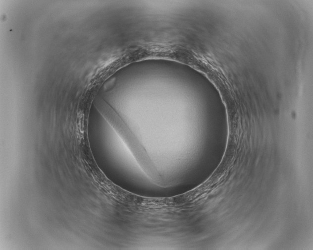 X0000086941301200705071408