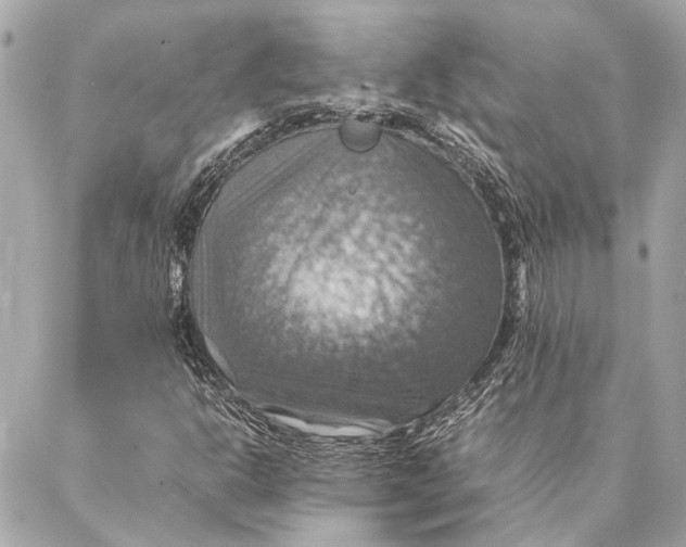 X0000086941302200705071408