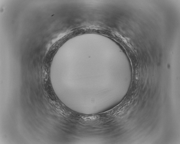 X0000086941303200705071408