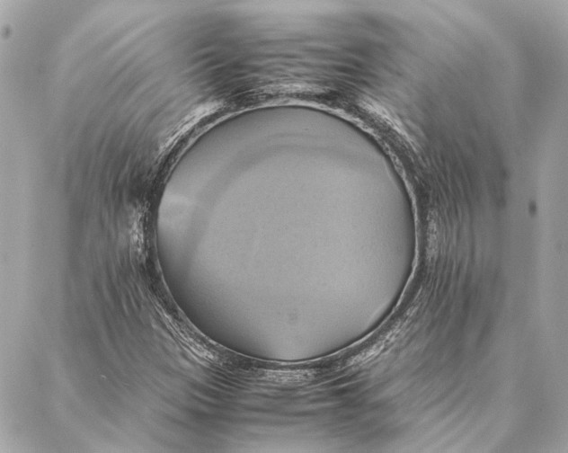 X0000086941305200705071408