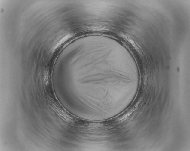 X0000086941306200705071408