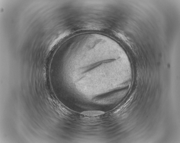 X0000086941307200705071408