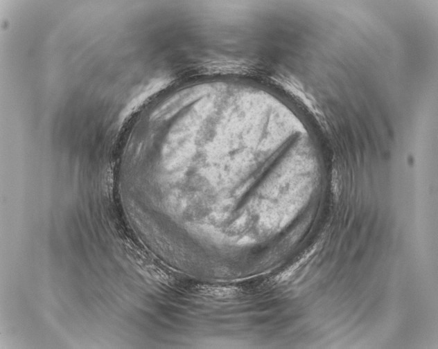 X0000086941309200705071408