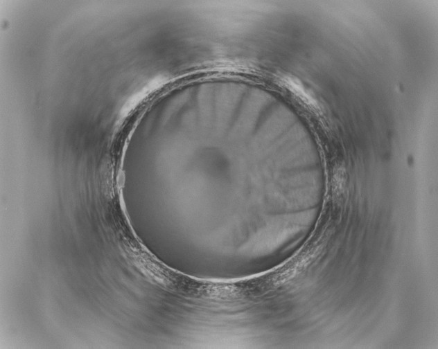 X0000086941310200705071408