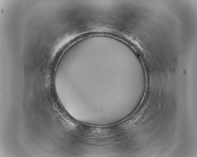 X0000086941311200705071408