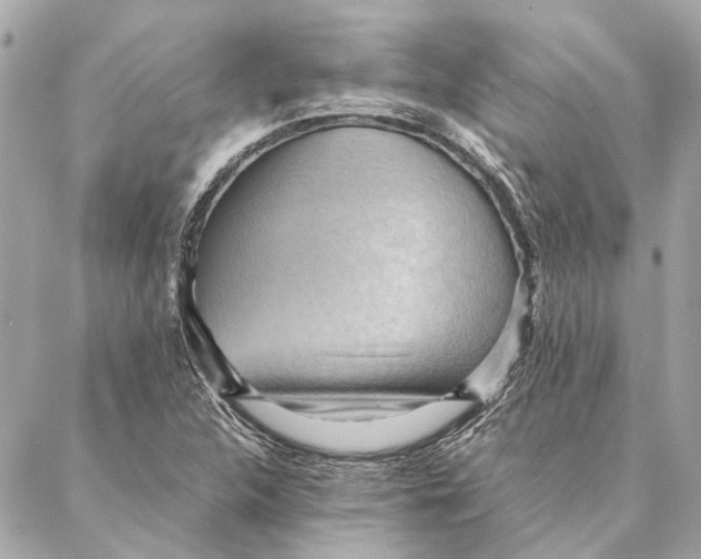 X0000086941312200705071408