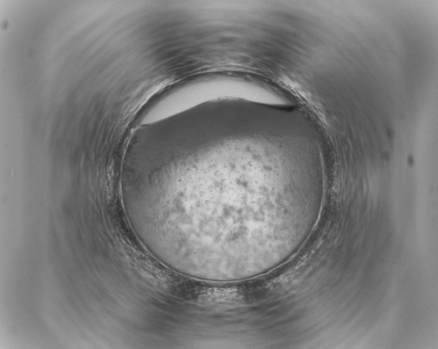 X0000086941313200705071408