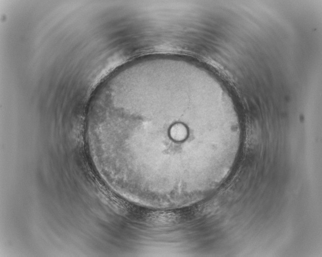 X0000086941314200705071408