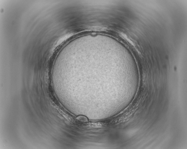 X0000086941315200705071408