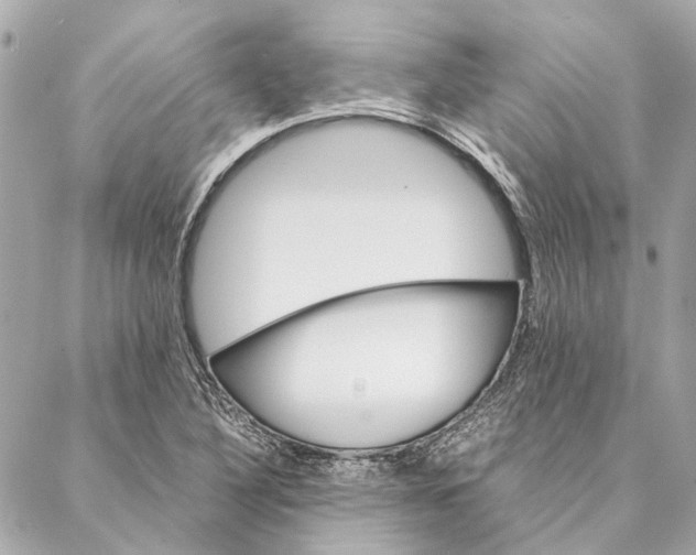 X0000086941316200705071408