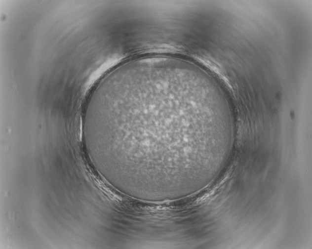 X0000086941317200705071408