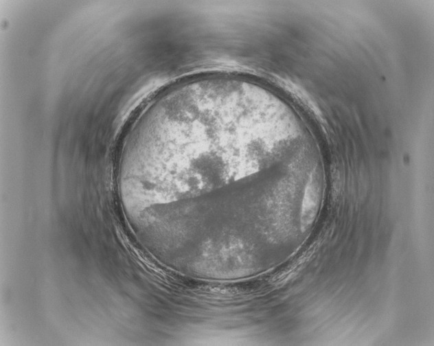 X0000086941318200705071408