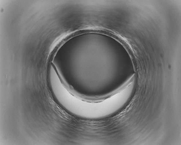 X0000086941319200705071408