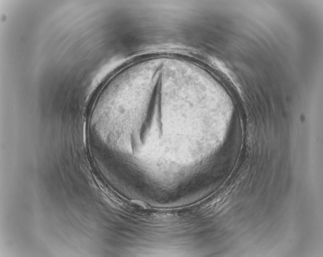 X0000086941320200705071408