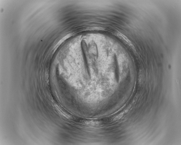 X0000086941321200705071408