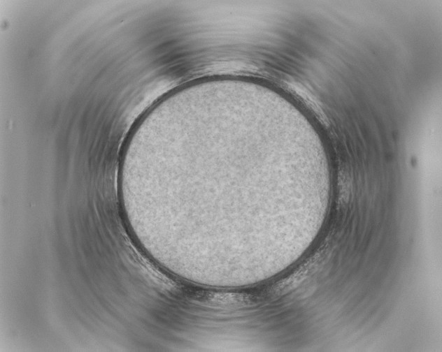 X0000086941322200705071408