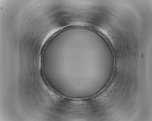 X0000086941323200705071408