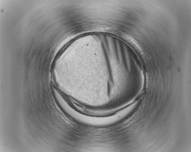 X0000086941324200705071408