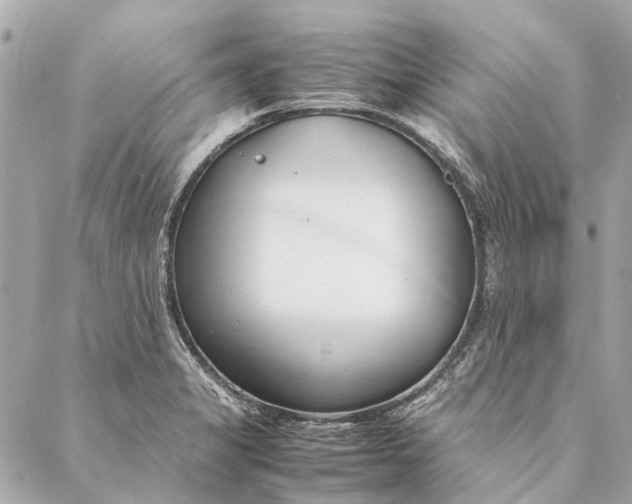 X0000086941325200705071408