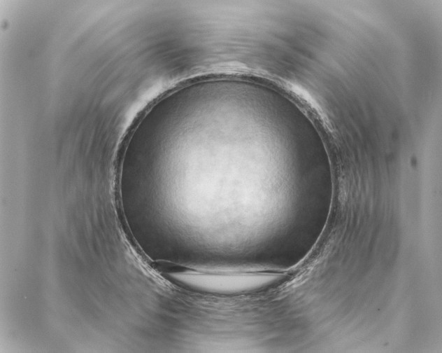 X0000086941326200705071408