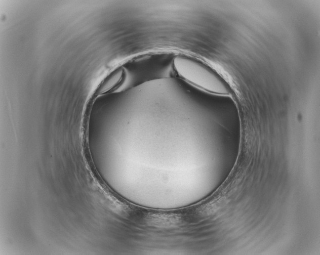 X0000086941327200705071408