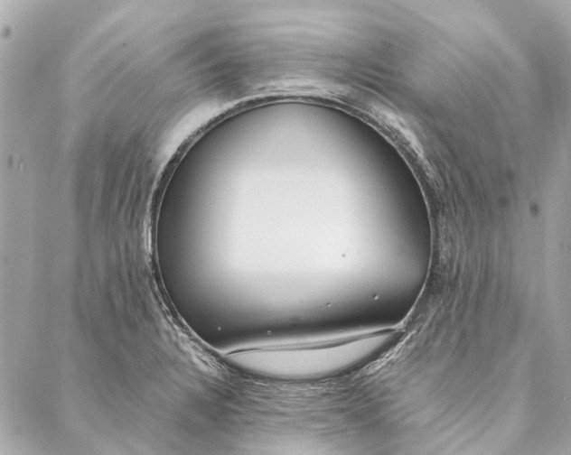 X0000086941328200705071408