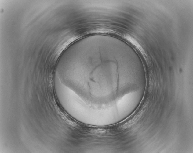 X0000086941329200705071408