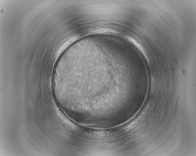 X0000086941330200705071408