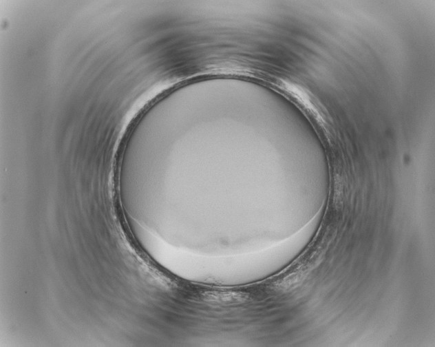 X0000086941331200705071408