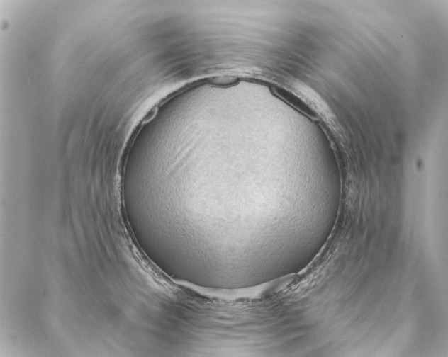 X0000086941332200705071408