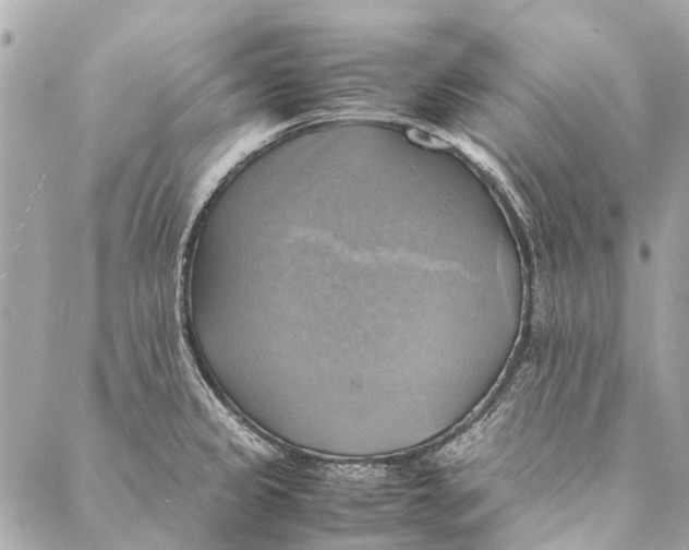 X0000086941333200705071408