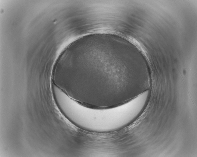 X0000086941334200705071408