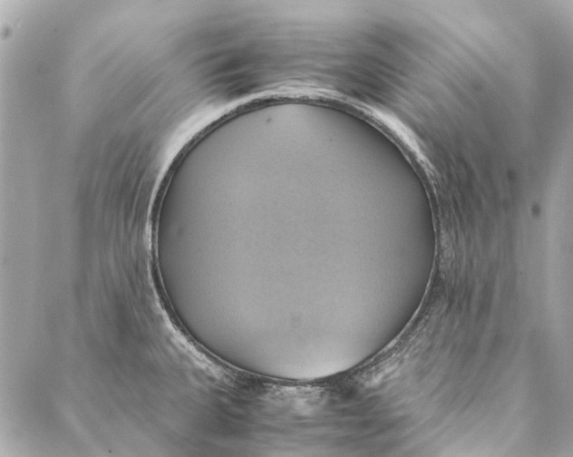 X0000086941335200705071408