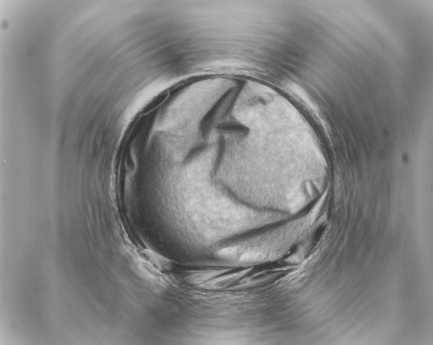 X0000086941336200705071408