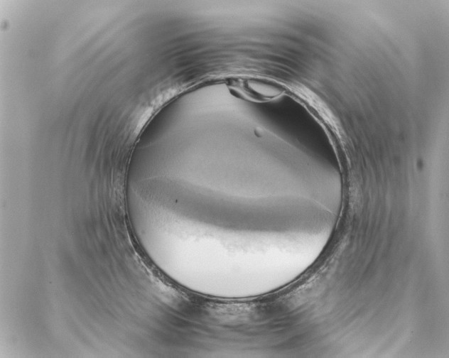 X0000086941337200705071408